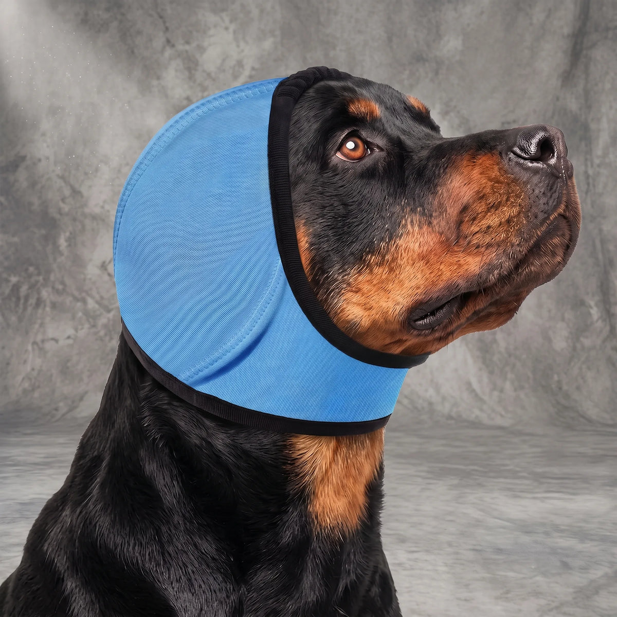 Quiet Ears Head Wrap