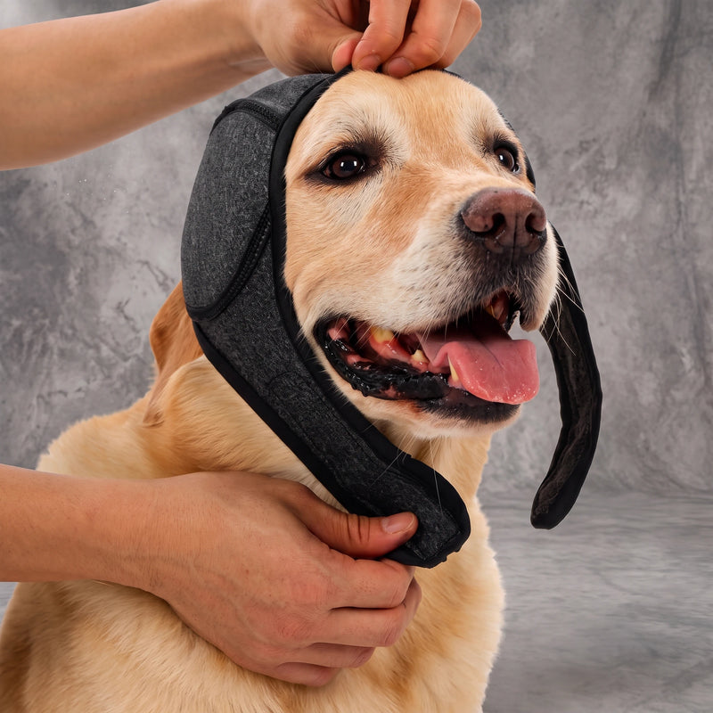 Bring the strap under the chin