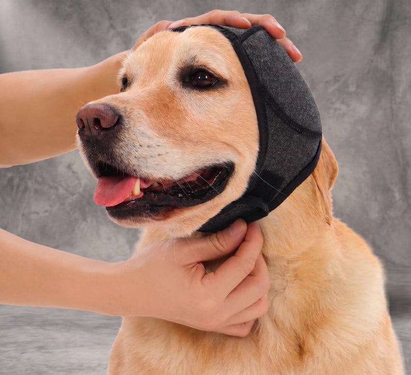 Secure the Velcro