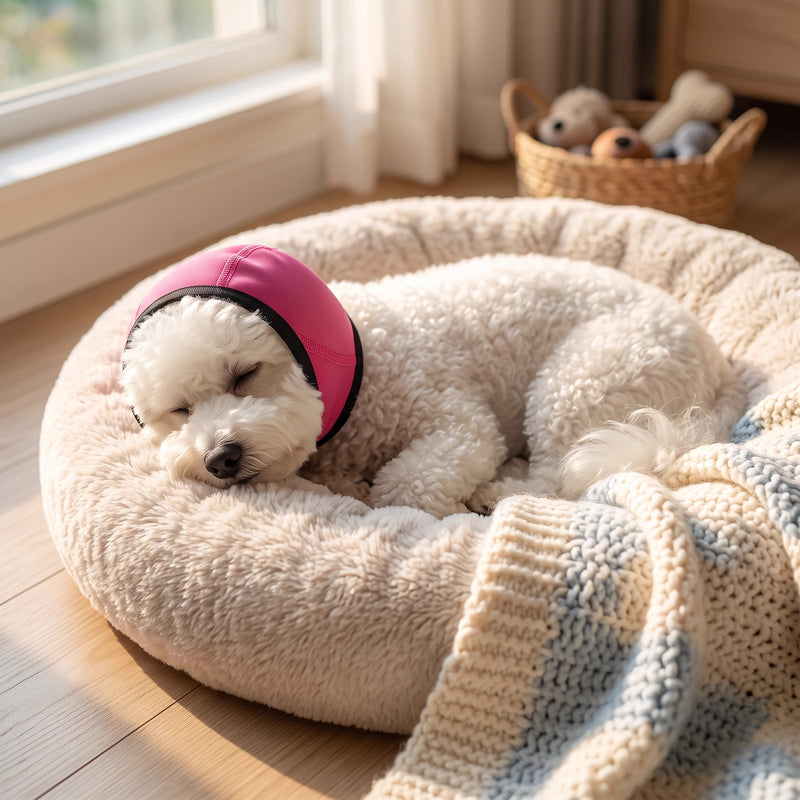 Curled up by the fire